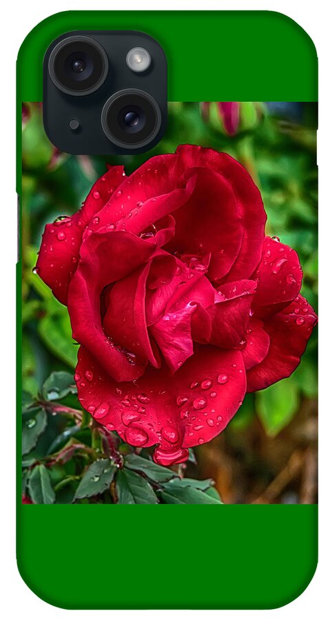 Rose iPhone Case featuring the photograph Red Red Rose by John Haldane