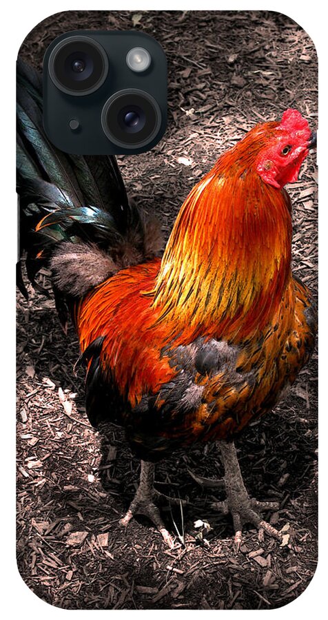 Rooster iPhone Case featuring the photograph Red Rooster by Colleen Kammerer
