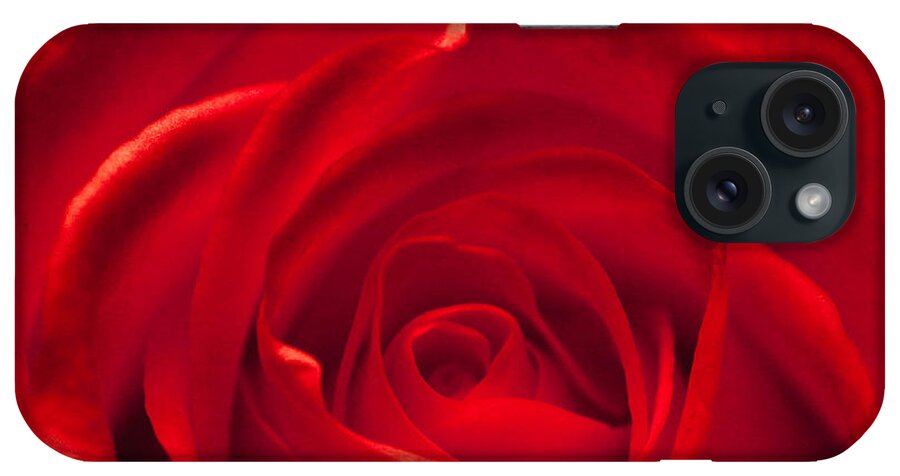 Love iPhone Case featuring the photograph Red rose by Amanda Mohler