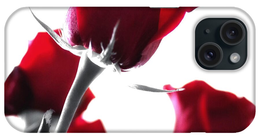 Red Rose iPhone Case featuring the photograph Red Rose Color Block 2 by Joseph Hedaya