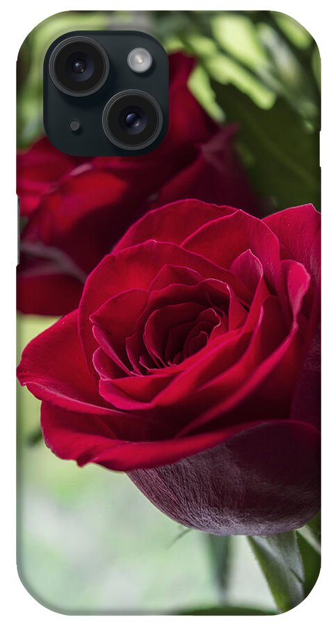 Red iPhone Case featuring the photograph Red Rose by Ian Mitchell
