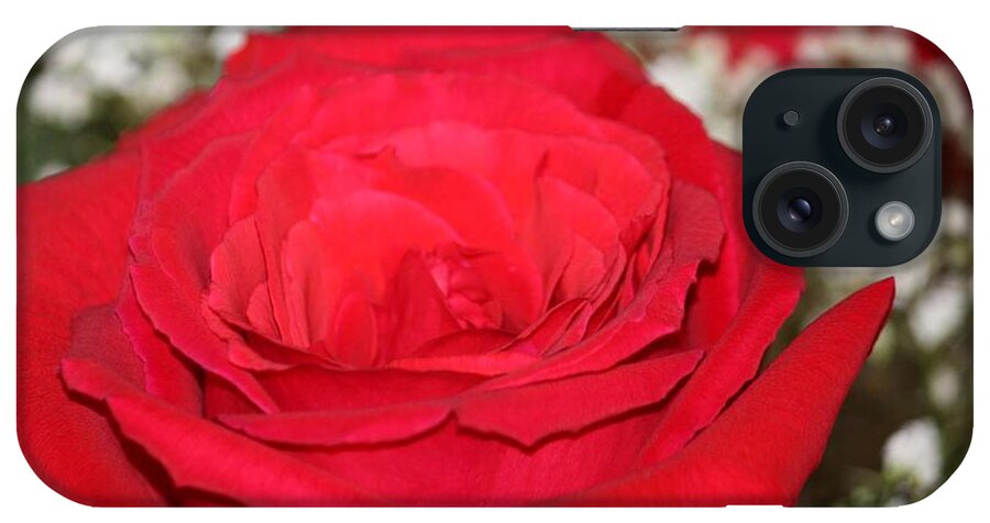 Red Roses iPhone Case featuring the photograph Red Rose by Kimber Butler