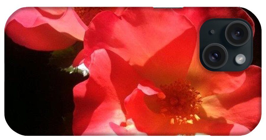 Floralstyles_gf iPhone Case featuring the photograph Red Roses - My Second Entry For by Anna Porter