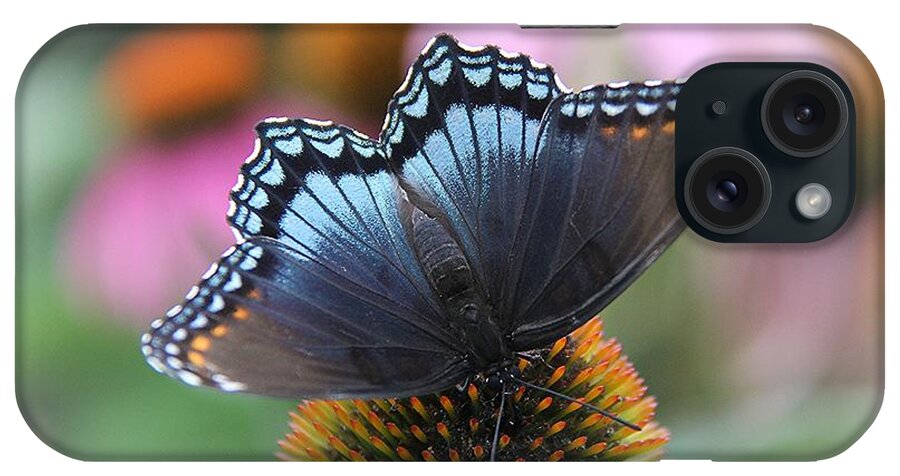 Red Spotted Admiral Butterfly iPhone Case featuring the photograph Red Spotted Admiral Butterfly by Yumi Johnson