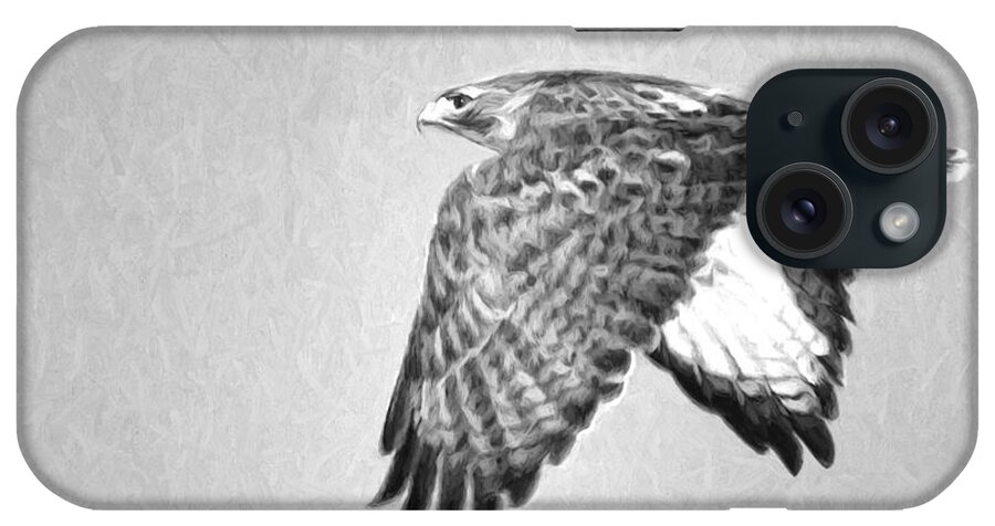 Dan Sabin iPhone Case featuring the photograph Red Tailed Hawk II by Dan Sabin