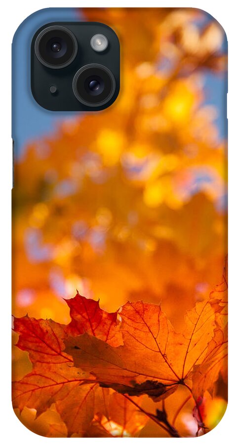 Salem iPhone Case featuring the photograph Red tipped gold by Jeff Folger