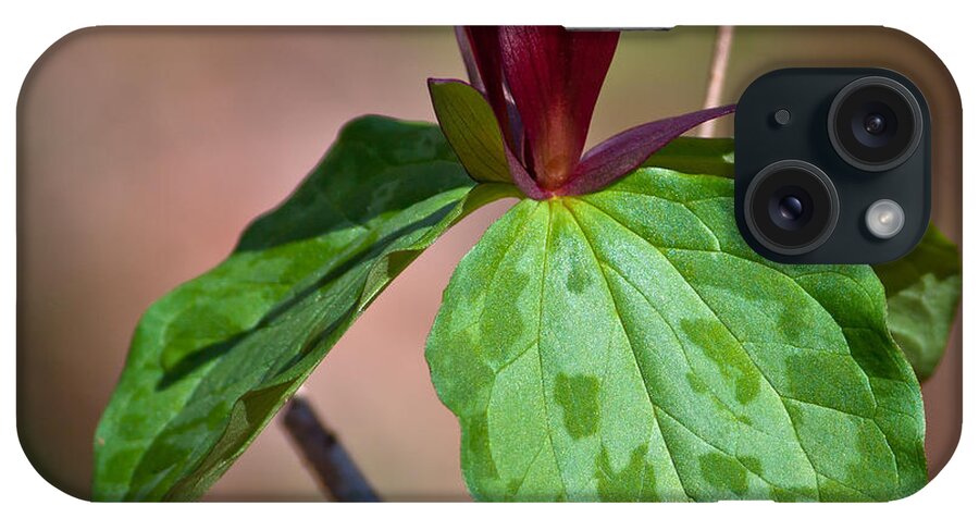 Close-up iPhone Case featuring the photograph Red Trillium by Melinda Fawver