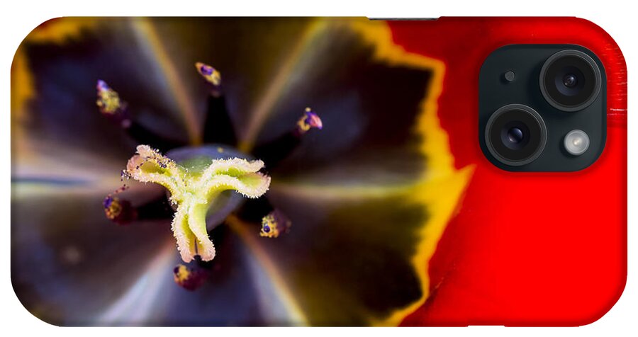 3scape Photos iPhone Case featuring the photograph Red Tulip Macro by Adam Romanowicz