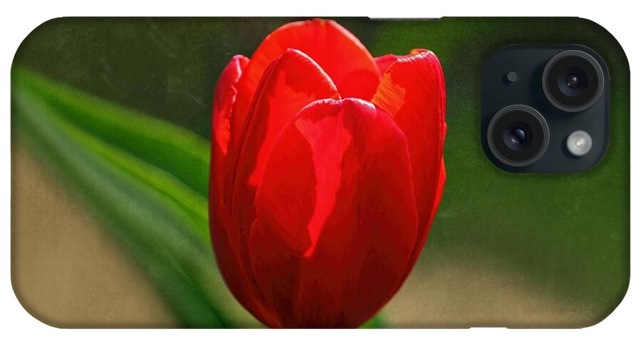 Red Tulip iPhone Case featuring the photograph Red Tulip Spring Flower by Tracie Schiebel