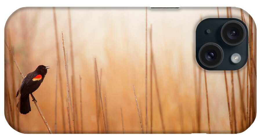 Delaware iPhone Case featuring the photograph Red-winged Black Bird In Song by Michael Lawrence Photography