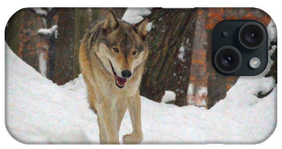 Animals iPhone Case featuring the digital art Red Wolf on a Winter Hunt by Lianne Schneider