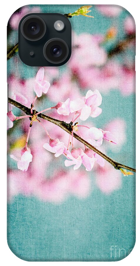 Spring iPhone Case featuring the photograph Redbuds Over Blue by Stephanie Frey