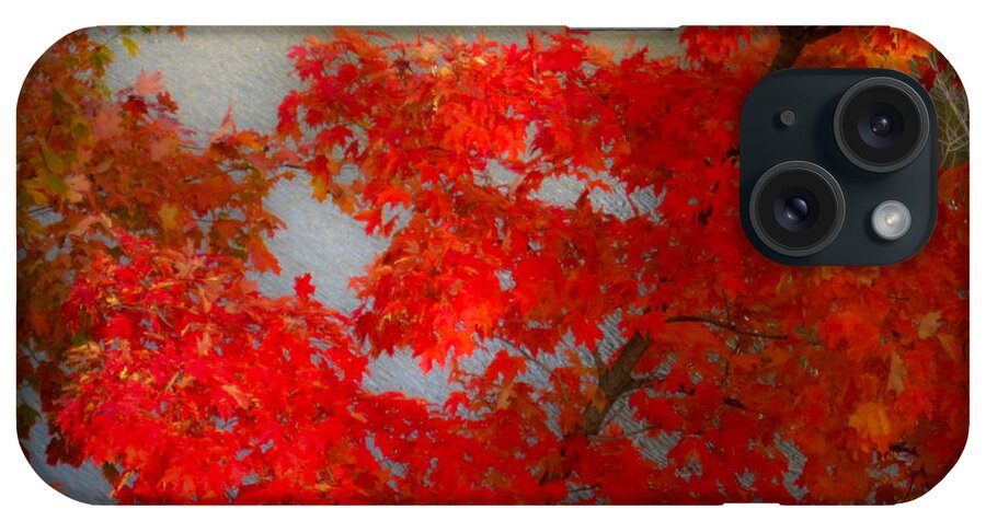 2014 iPhone Case featuring the photograph Reds in the Fall by George Harth