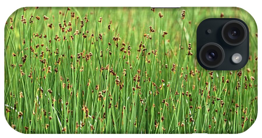 Reeds iPhone Case featuring the photograph Reeds by Beve Brown-Clark Photography