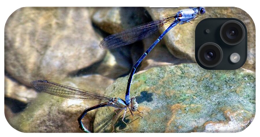 Blue Dragonflies iPhone Case featuring the photograph Refueling Dragonflies by Peggy Franz