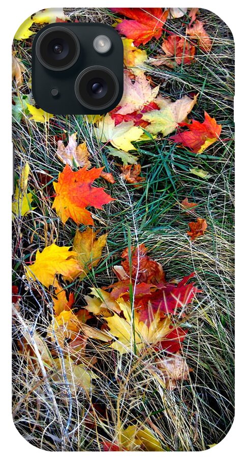 Autumn iPhone Case featuring the photograph Release by Kathy Bassett