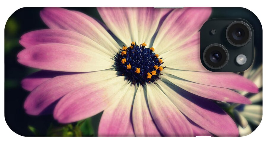 Flower iPhone Case featuring the photograph Remember Me by Robin Dickinson