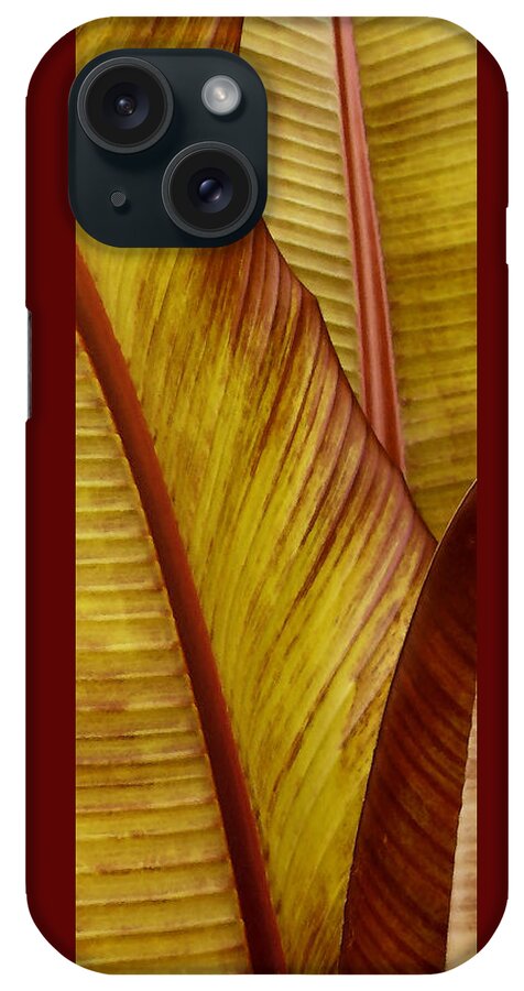 Botanical Abstract iPhone Case featuring the photograph Repose - Leaf by Ben and Raisa Gertsberg