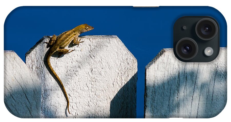 Anolis Sagrei iPhone Case featuring the photograph Reptile on a Fence by Ed Gleichman