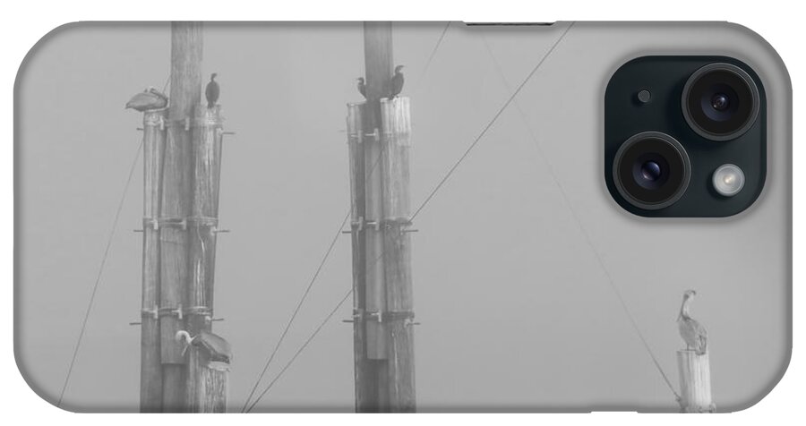 Nature iPhone Case featuring the photograph Reservoir Fog by Deborah Smith