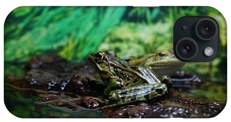 Frog iPhone Case featuring the photograph Ribbit by Richard Reeve