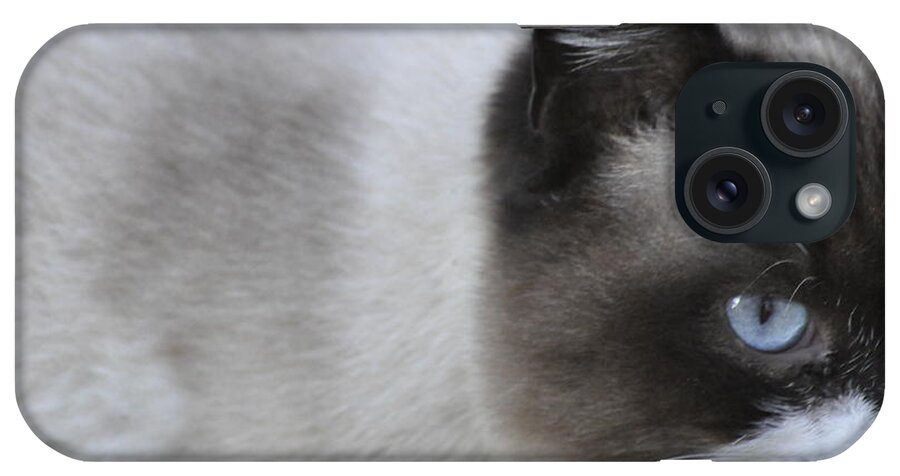 High Quality iPhone Case featuring the photograph Ringtail by Sarah McKoy
