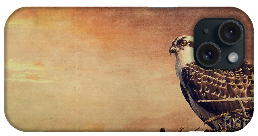 Osprey iPhone Case featuring the photograph Rising Sun by Edward Fielding