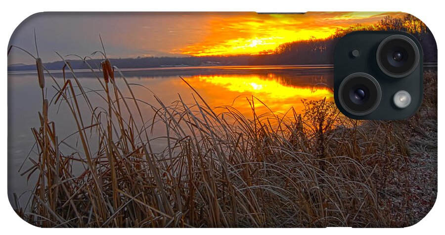 Cattails N Shoreline On Lake At Sunrise iPhone Case featuring the photograph Rising Sunlights Up Shore Line Of Cattails by Randall Branham
