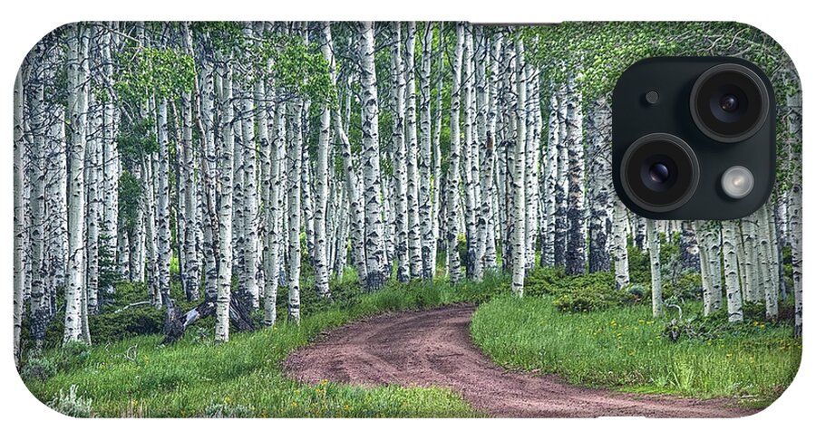 Art iPhone Case featuring the photograph Road through a Birch Tree Grove by Randall Nyhof