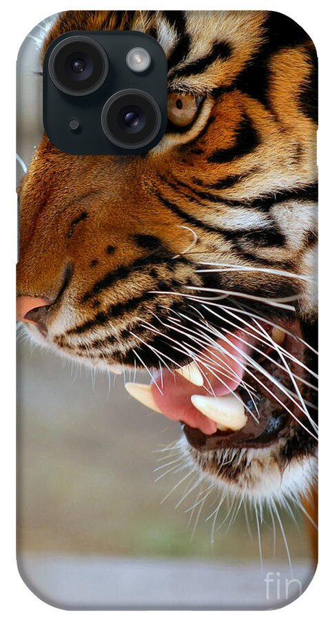 Tiger iPhone Case featuring the photograph Roar by Anjanette Douglas