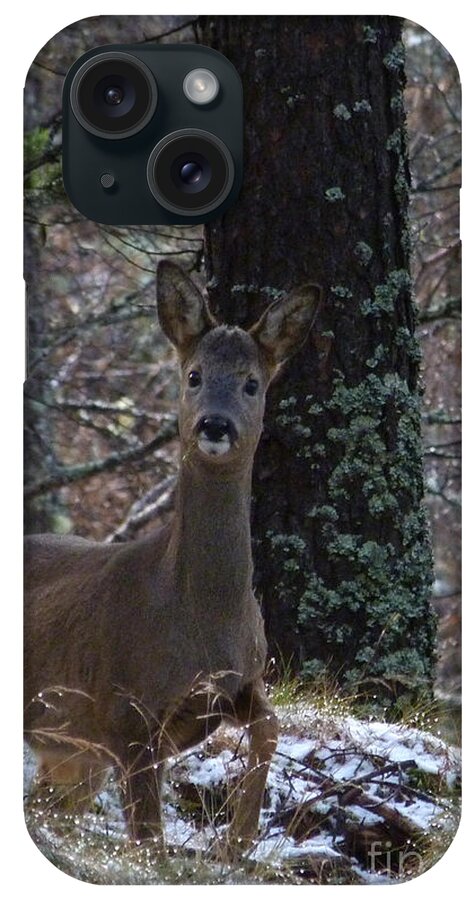 Roe Buck iPhone Case featuring the photograph Roe Deer - Surprise Encounter by Phil Banks