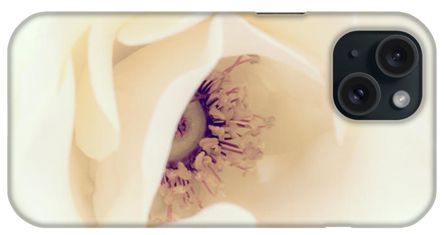 Love iPhone Case featuring the photograph Romance in a Rose by Spikey Mouse Photography