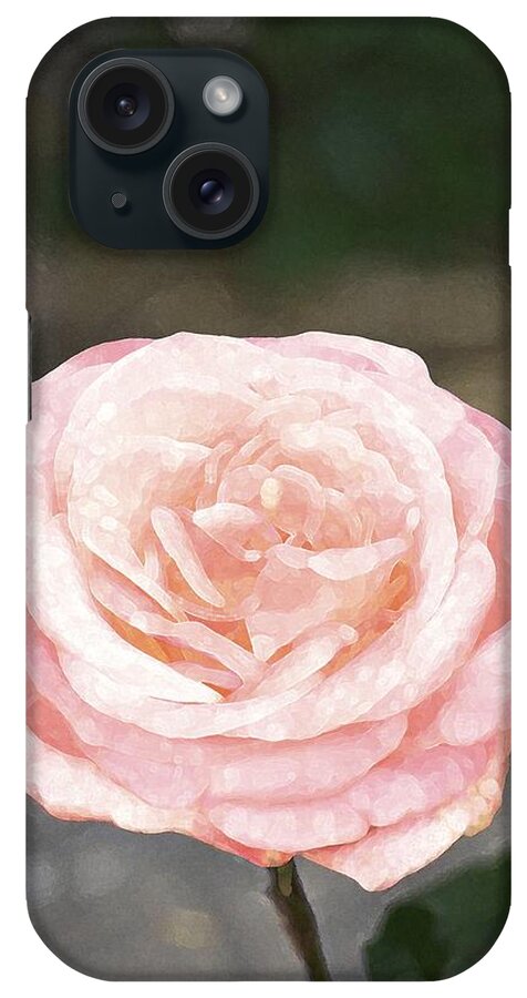 Floral iPhone Case featuring the photograph Rose 195 by Pamela Cooper