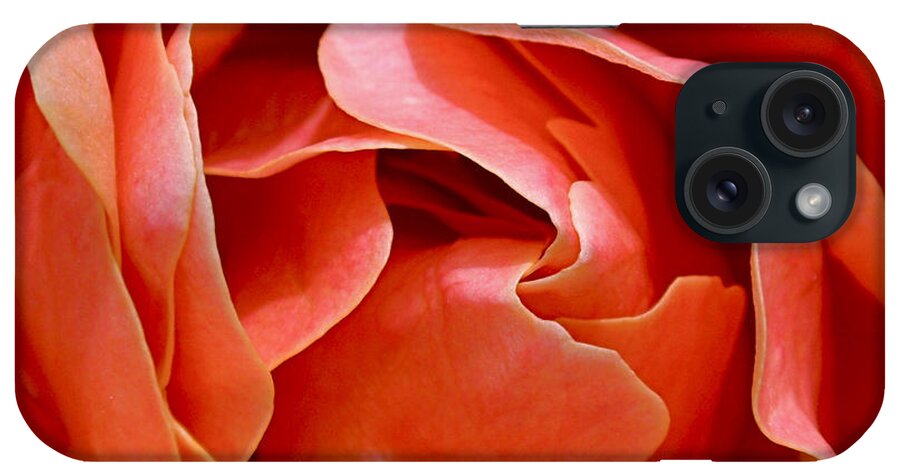 Rose iPhone Case featuring the photograph Rose Abstract by Rona Black