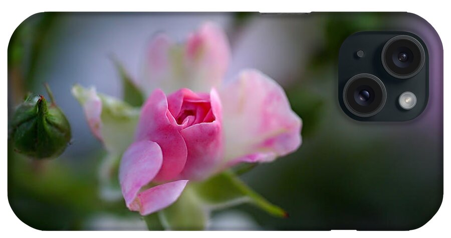 Rose iPhone Case featuring the photograph Rose Emergent by Rona Black