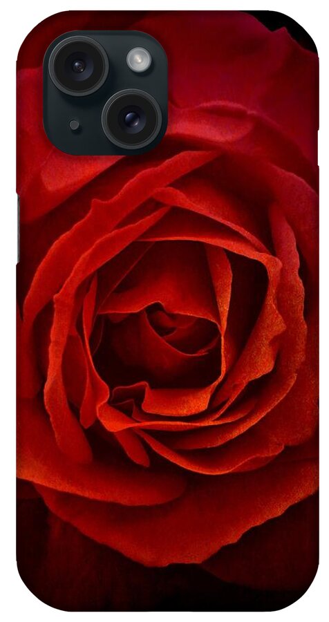 Rose iPhone Case featuring the photograph Rose in Red by Patricia Strand