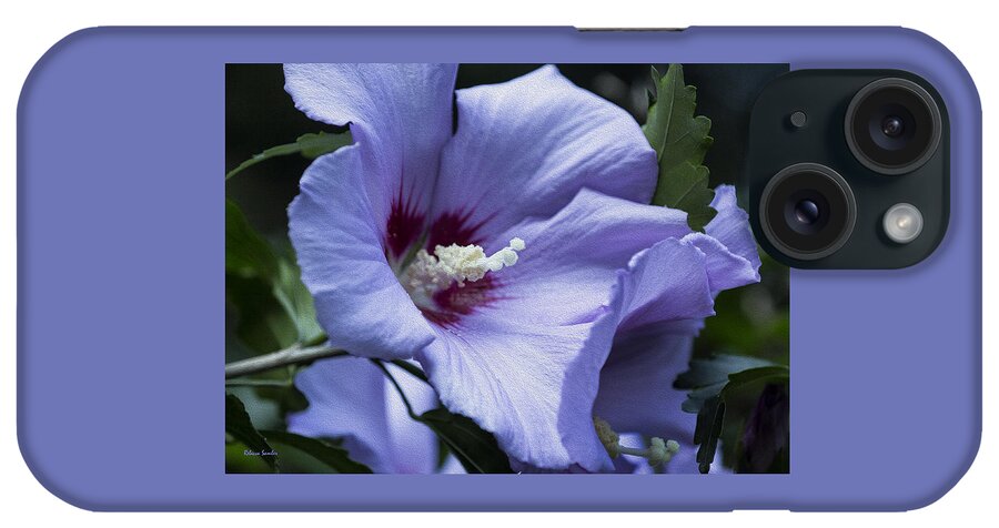 Rose Of Sharon iPhone Case featuring the photograph Rose of Sharon by Rebecca Samler
