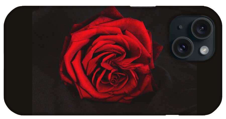 Rose iPhone Case featuring the photograph Red Rose on black by Tom Conway
