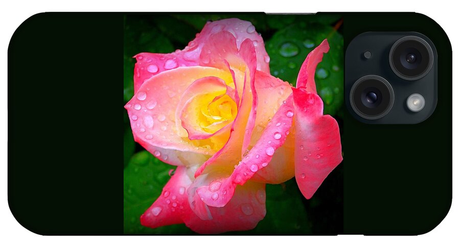 Rose iPhone Case featuring the photograph Rose with Water Droplets by Nick Kloepping