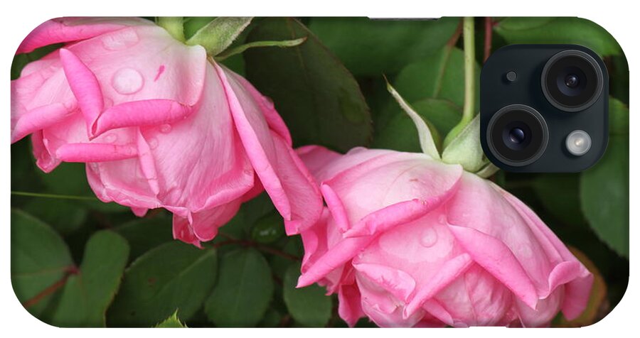 Roses iPhone Case featuring the photograph Roses after the shower by Bonnie Willis