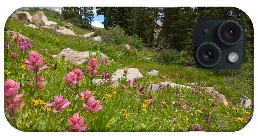 Indian Peaks Wilderness Area iPhone Case featuring the photograph Rosy Paintbrush and Trees by Cascade Colors