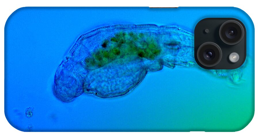 Rotifer iPhone Case featuring the photograph Rotifer Just After Defecation, Lm by Marek Mis