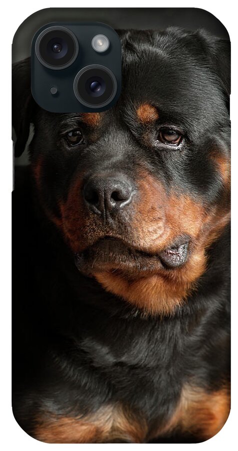 Pets iPhone Case featuring the photograph Rotweiler by Silversaltphoto.j.senosiain