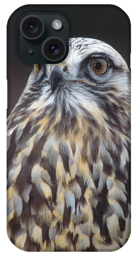 Feb0514 iPhone Case featuring the photograph Rough-legged Hawk In Light Phase Vermont by Tom Vezo