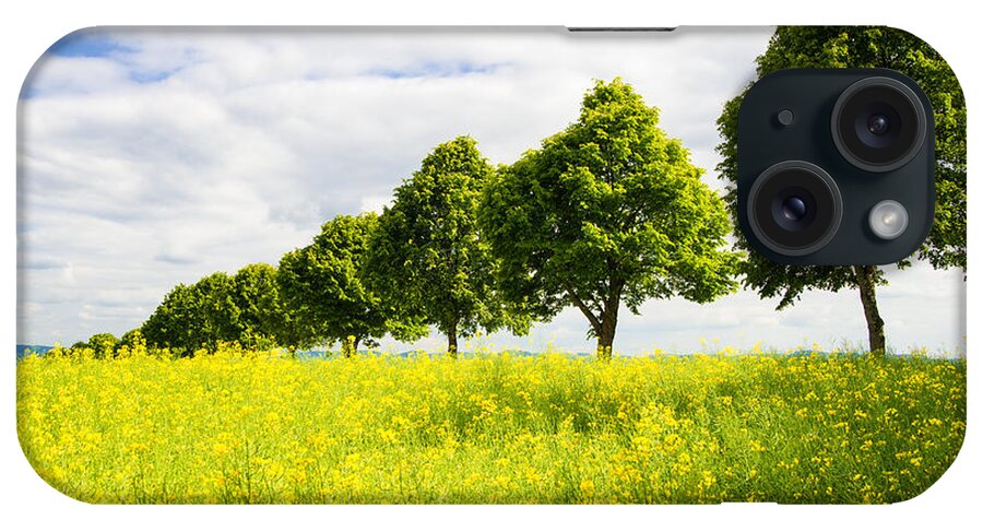Trees iPhone Case featuring the photograph Row of trees in spring landscape green and yellow by Matthias Hauser
