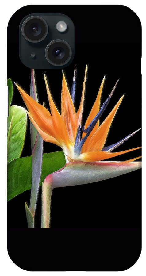 Tropical Flower iPhone Case featuring the photograph Royal Beauty I - Bird Of Paradise by Ben and Raisa Gertsberg