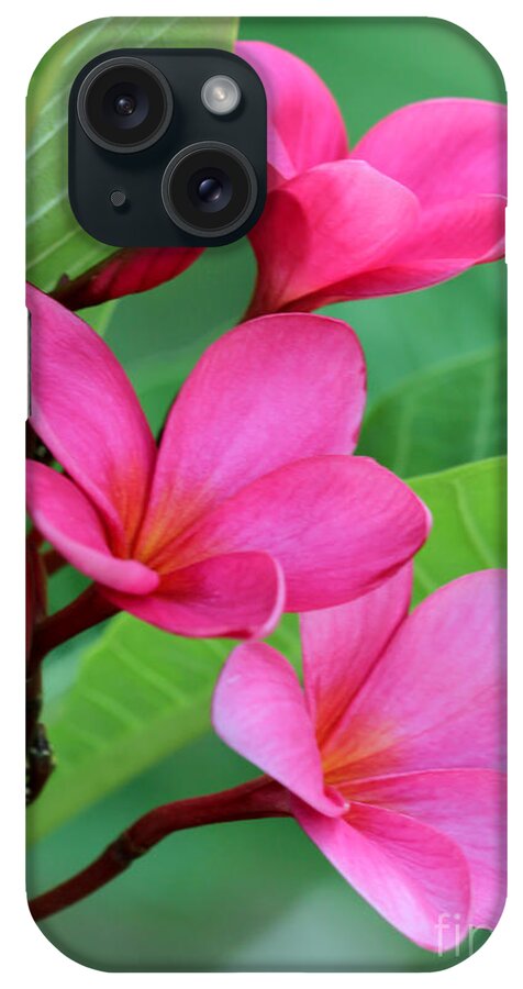 Amazing iPhone Case featuring the photograph Ruby Red Frangipani by Sabrina L Ryan