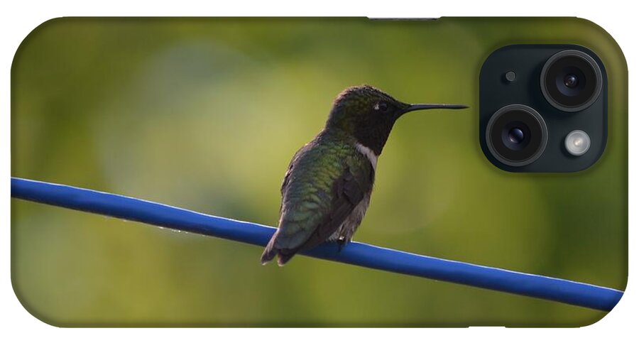 Nature iPhone Case featuring the photograph Ruby-throated Hummingbird by James Petersen