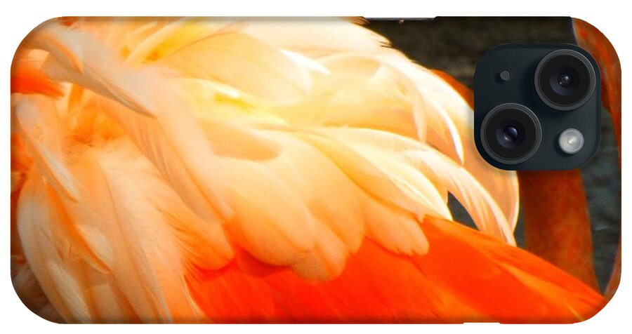 Show iPhone Case featuring the photograph Ruffled Feathers by Caryl J Bohn