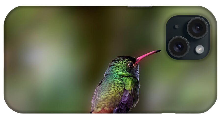 Rufous Hummingbird iPhone Case featuring the photograph Rufous-tailed Hummingbird by Heiko Koehrer-Wagner